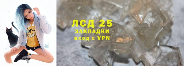 стафф Арсеньев