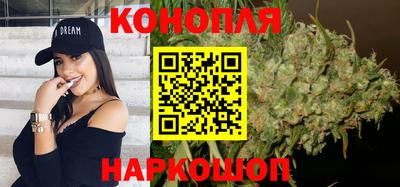 гашик Гусев