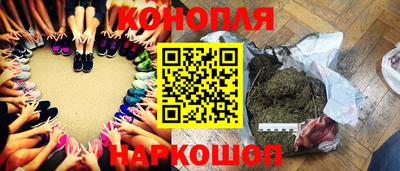 СК Новокубанск