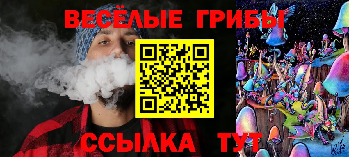 Кольчугино  Галлюциногенные грибы GOLDEN TEACHER  Вход с VPN 