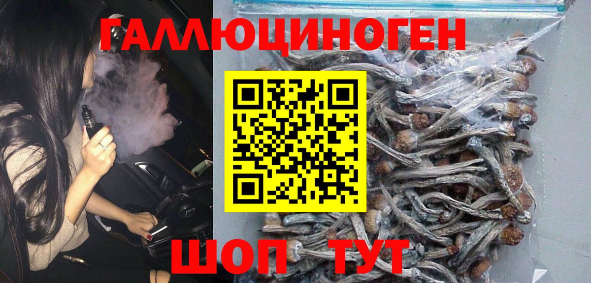 Псилоцибиновые грибы мухоморы Кольчугино