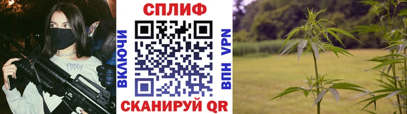 МЕГА tor  Кольчугино  маркетплейс официальный сайт  Шишки марихуана план 